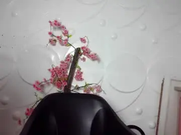 Chaturbate Sex Chat of ebonykissxx