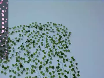 Chaturbate Adult Webcam of bravo_maestro