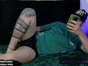 Chaturbate Nude Webcam of gabrieljr99