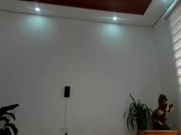 Chaturbate Nude Webcam of noahbrawn