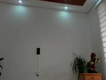 Chaturbate Sex Chat of noahbrawn