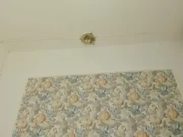 Chaturbate Adult Video Chat of illegal_lorry