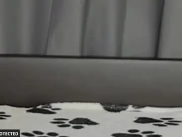 Chaturbate Live Porn of joybarker
