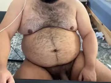 Chaturbate Live Sex Cam of beardudeguy