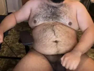 Chaturbate Live Sex Cam of beardudeguy