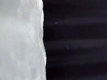 Chaturbate Adult Webcams of laylabrasil