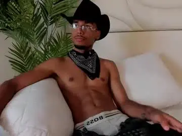 Chaturbate Adult Webcams of thiagoferreti_