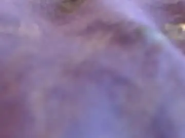 Chaturbate Adult Webcams of xxlecheroxx