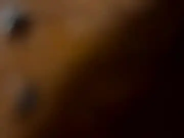 Chaturbate Live Sex Cam of columbusohio614