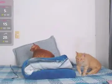 Chaturbate Best live sex cam show of valen_thompson