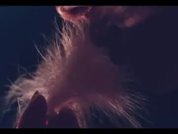 Chaturbate Watch Live Sex Cams of taanni_bc