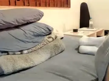 Chaturbate Sex Cam of moderdelier