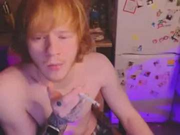 Chaturbate Sex Chat of alvin__main