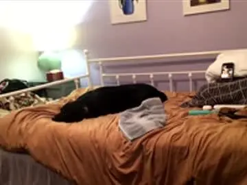 Chaturbate Sex Cam of cdub2533