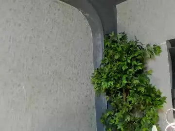 Chaturbate Nude Webcam of louis_connor