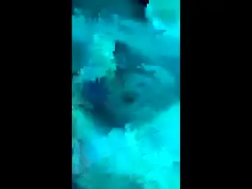 Chaturbate Sex Cam of indigolvr