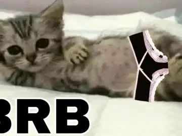 Chaturbate Best Webcam of _meowmiko__