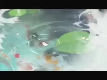 Chaturbate Free Porn Cam of wangxi__