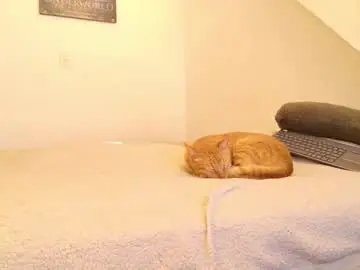 Chaturbate Sex Chat of trixx_01