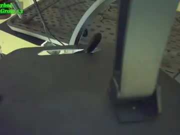 Chaturbate Adult Video Chat of dadsgarageatl