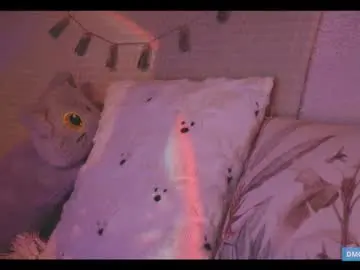 Chaturbate Best live sex cam show of softlee