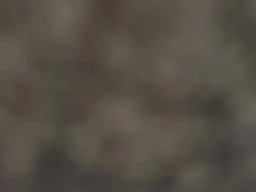 Chaturbate Free Porn Cam of arok73