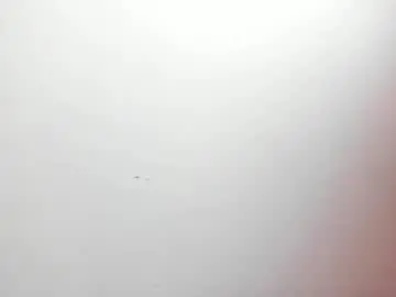 Chaturbate Live Sex Cam of dereck_boy8