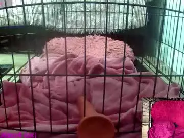 Chaturbate Best live sex cam show of princessjuliaxo4