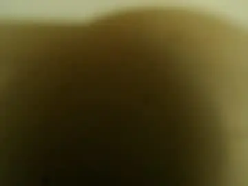 Chaturbate Sex Cam of bzxxbzh