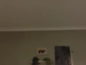 Chaturbate Free Porn Cam of nickifox__