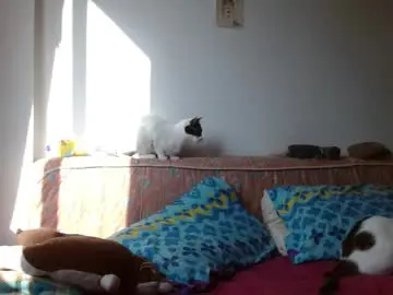 Chaturbate Adult Video Chat of malitamuymal22