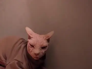 Chaturbate Nude Webcam of esthetics_boys