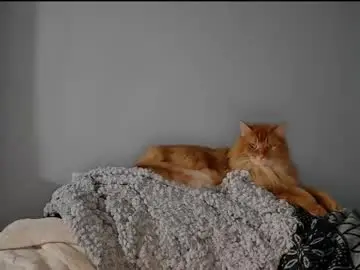 Chaturbate Live Porn of findomgoddessnatalia