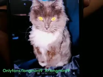 Chaturbate Sex Cam of longmint96