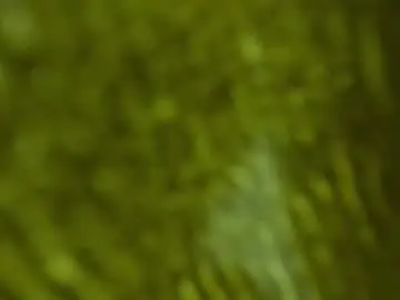 Chaturbate Nude Webcam of pamela_georgehot69