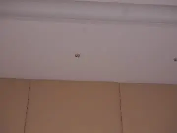 Chaturbate Adult Webcam of taitehambelton