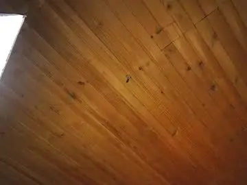 Chaturbate Free Live Porn of coraline_latin