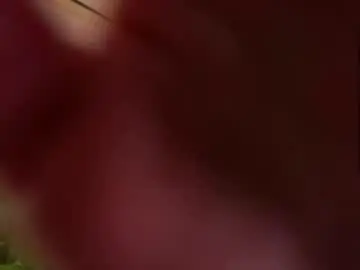 Chaturbate Best Webcam of sweetyoops