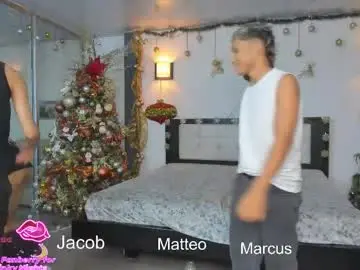 Chaturbate Sex Cam of playhardsex