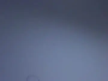 Chaturbate Free Porn Cam of samxx_muscle