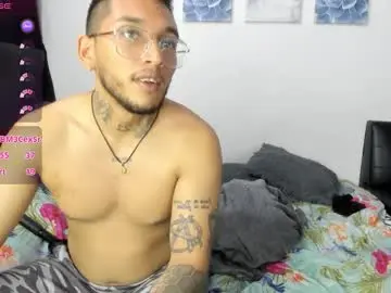 Chaturbate Adult Webcams of ariannawil