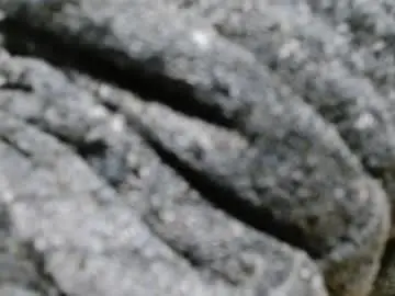 Chaturbate Private Sex Chat of cplmature87