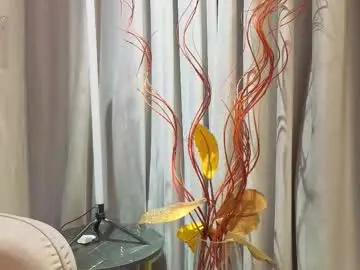 Chaturbate Private Sex Chat of philomenagroomes