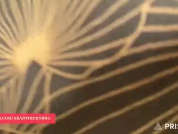 Chaturbate Live Porn of arabthickestdick1