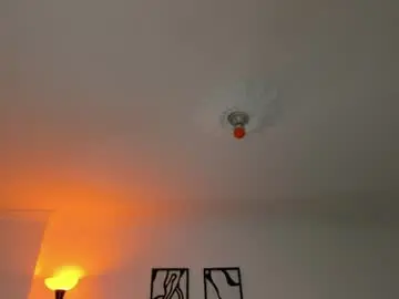 Chaturbate Best Webcam of im_maitee
