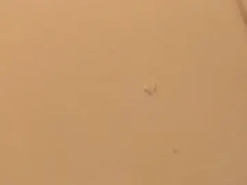 Chaturbate Sex Chat of ian_castillo_