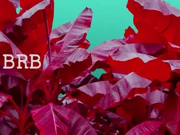 Chaturbate Adult Webcam of nickname_chewbacca