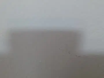 Chaturbate Private Sex Chat of scarlet378580