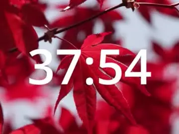 Chaturbate Adult Webcam of cardrey05