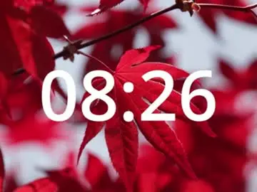 Chaturbate Free Live Porn of cardrey05